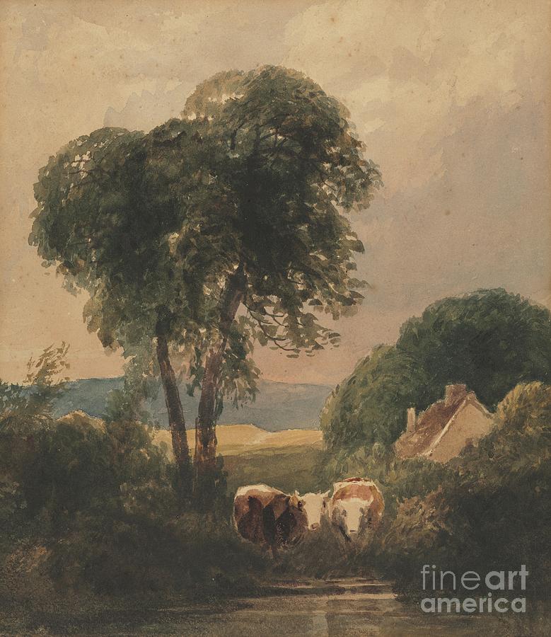 Welsh Landscape With Cattle. Creator Drawing by Heritage Images
