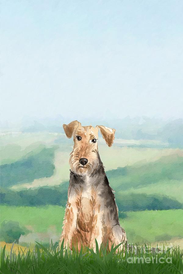 Welsh Terrier Painting by John Edwards