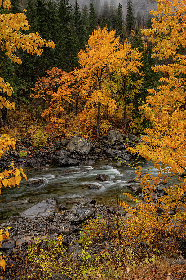 Autumn Scene In The Wenatchee River Area Stock Photo Alamy