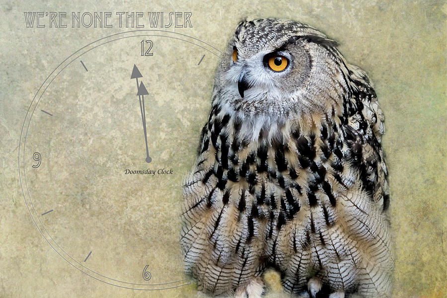 We're None The Wiser by Belinda Greb We're None The Wiser by Belinda Greb