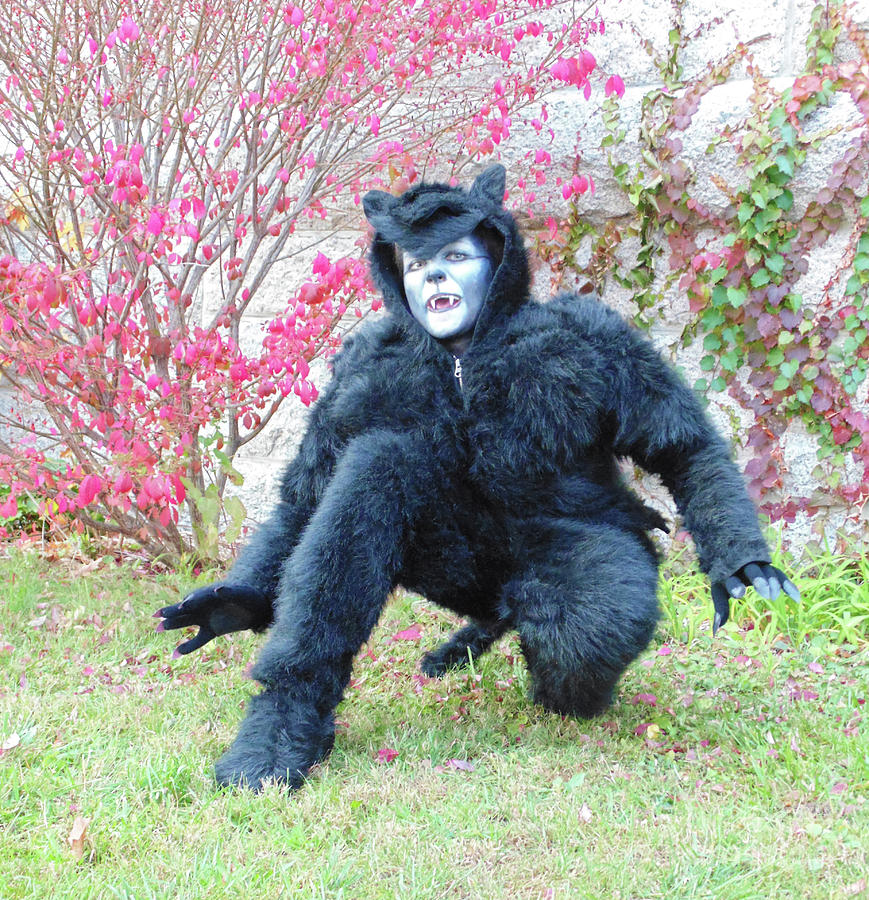Werepanther Costume 5 Photograph by Amy E Fraser