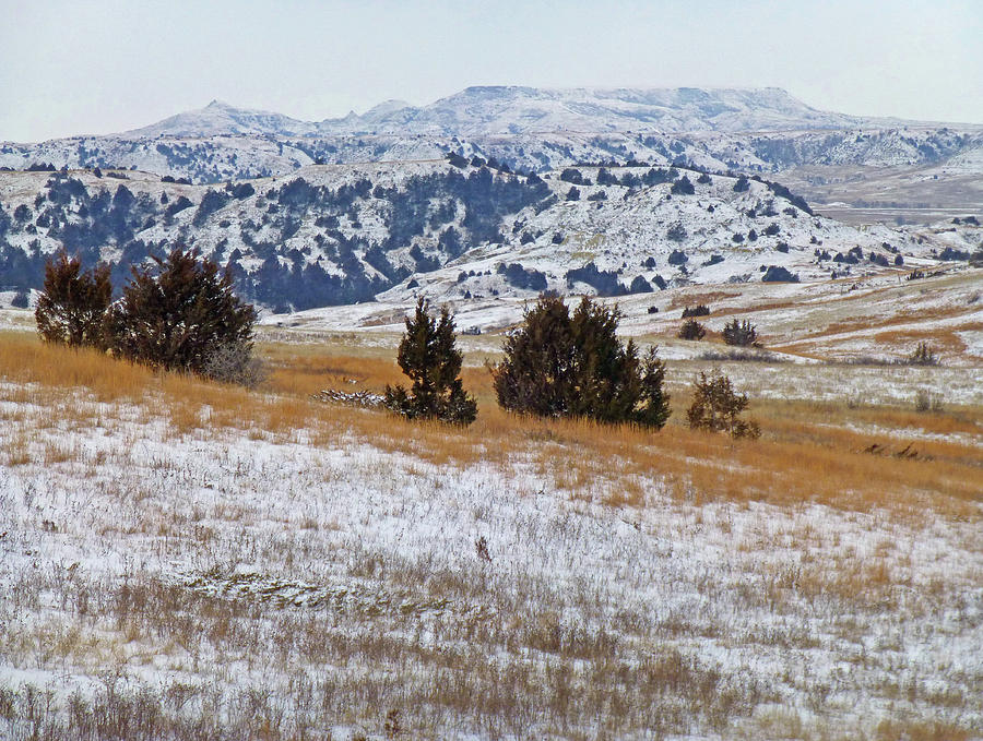 West Dakota Winter Hills Photograph by Cris Fulton