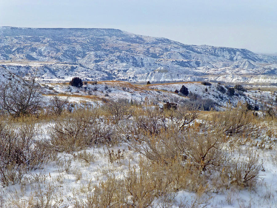 West Dakota Winter Prairie Photograph by Cris Fulton