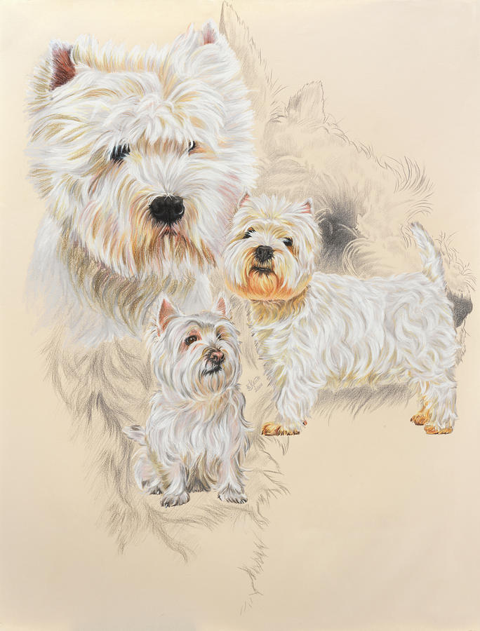 Dog Painting - West Highland White And Ghost by Barbara Keith