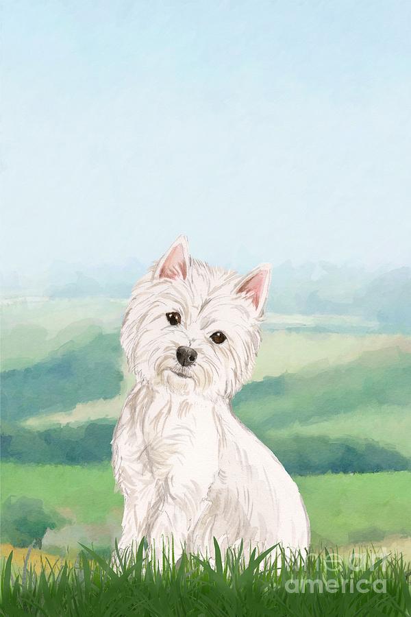 West Highland White Terrier Painting by John Edwards