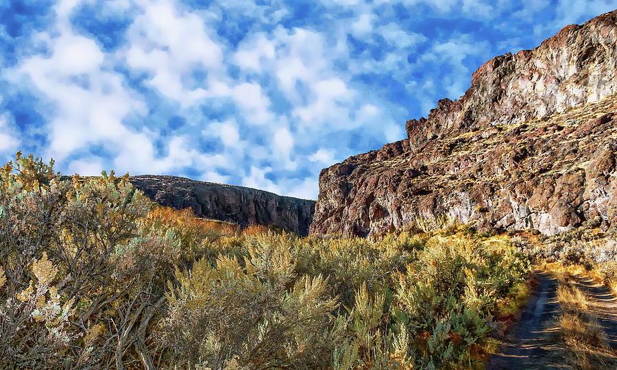 West Little Owyhee Canyon by Anthony Dezenzio West Little Owyhee Canyon by Anthony Dezenzio