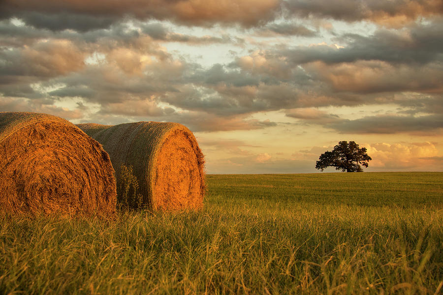 West Texas Bale Out Photograph