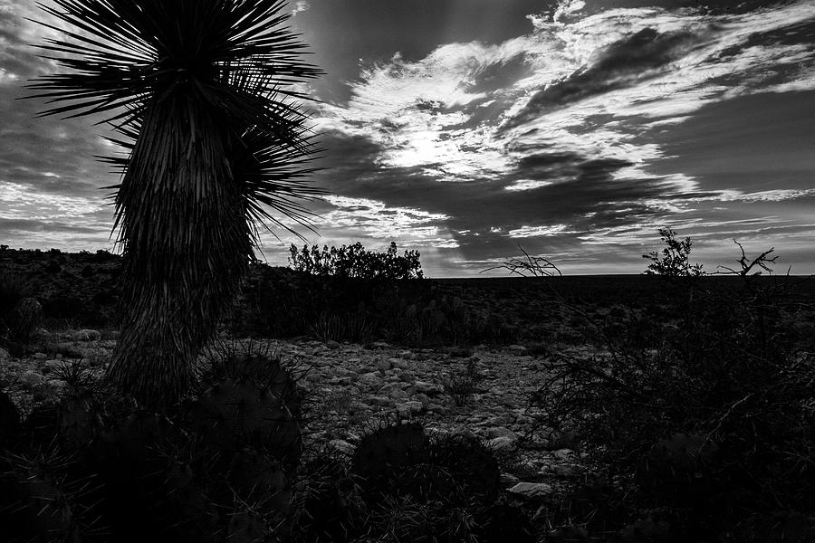 West Texas Desert Sky Photograph by Jason Hughes