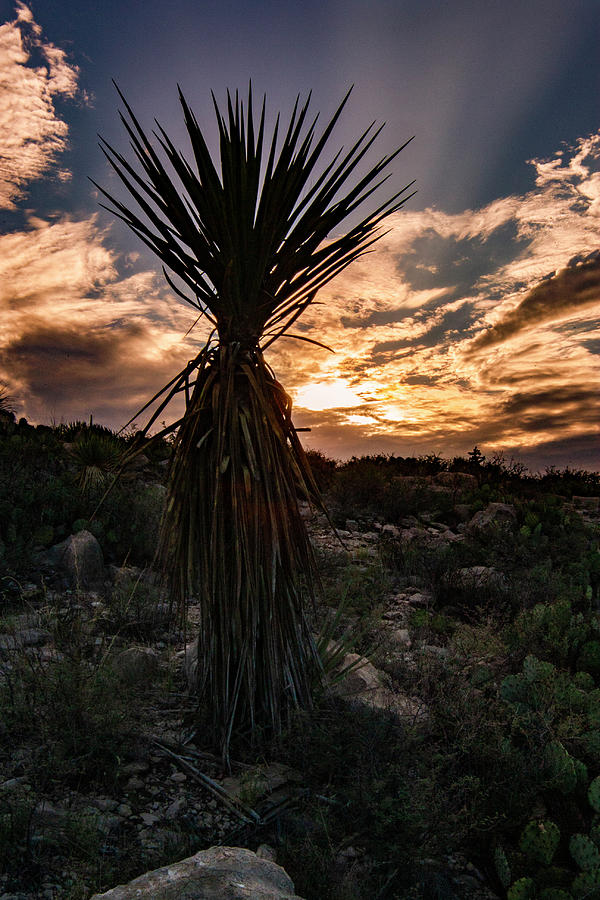 West Texas sunset Photograph by Jason Hughes
