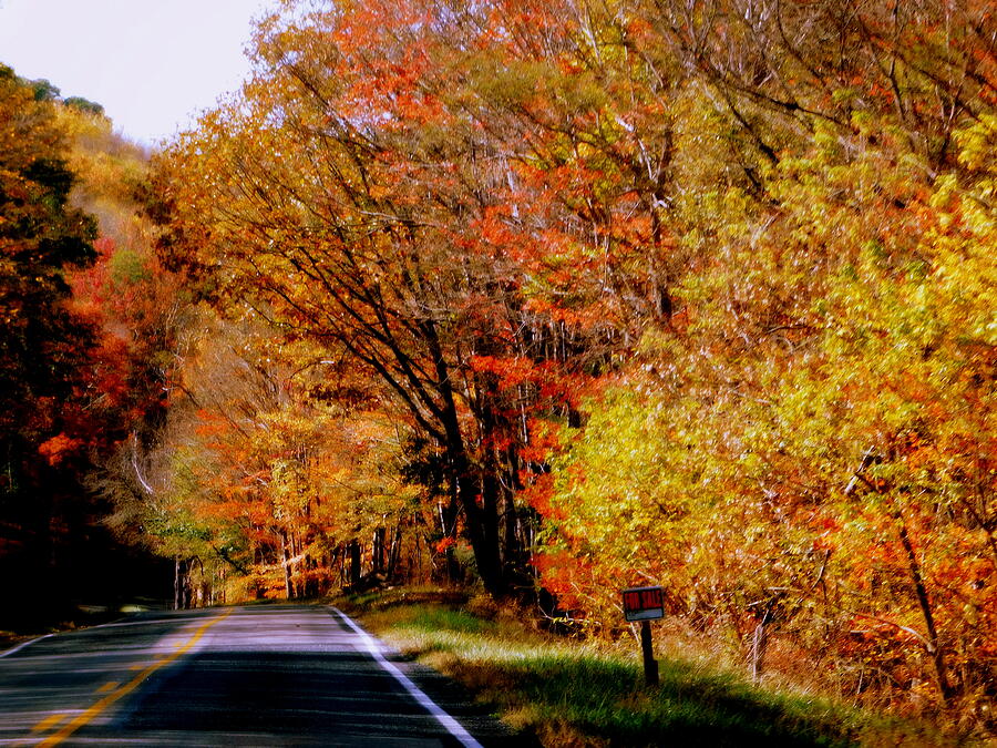 West Virginia Autumn Countryside Photograph by Arlane Crump - Pixels