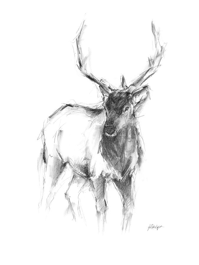 Deer Painting - Western Animal Sketch II by Ethan Harper