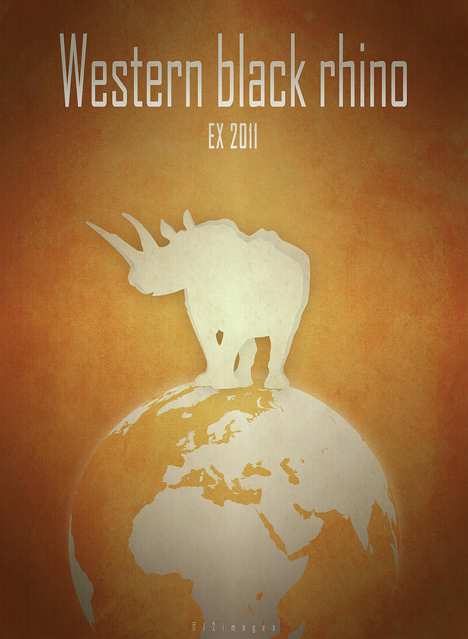 Western black rhinoceros Digital Art by Moira Risen