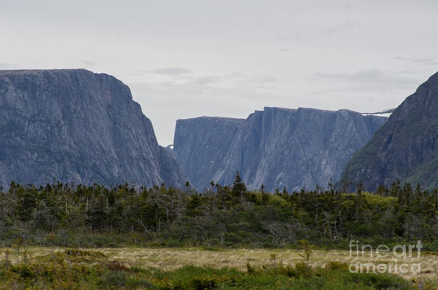 Western Brook Photograph by Christopher Sauvageau / 500px