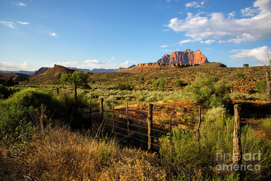 Western Scene Photograph by Diane Diederich