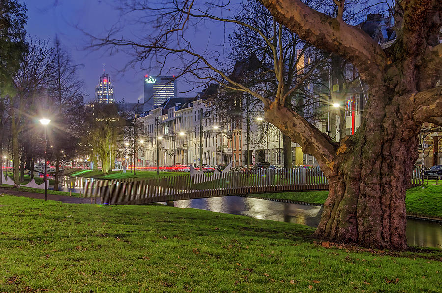 Westersingel Rotterdam in the blue hour Photograph by Frans Blok