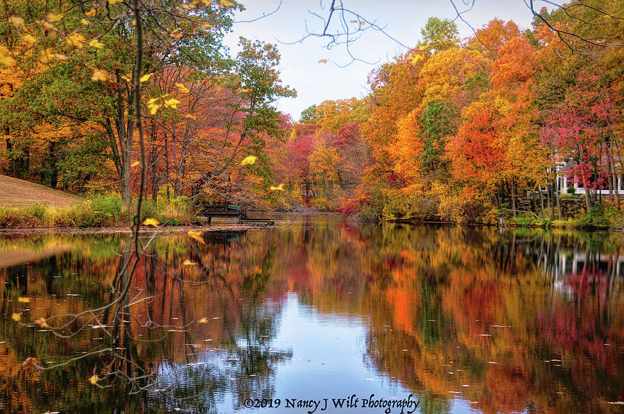 Weston Connecticut Beaver Brook Pond Photograph by Nancy Wilt - Fine ...