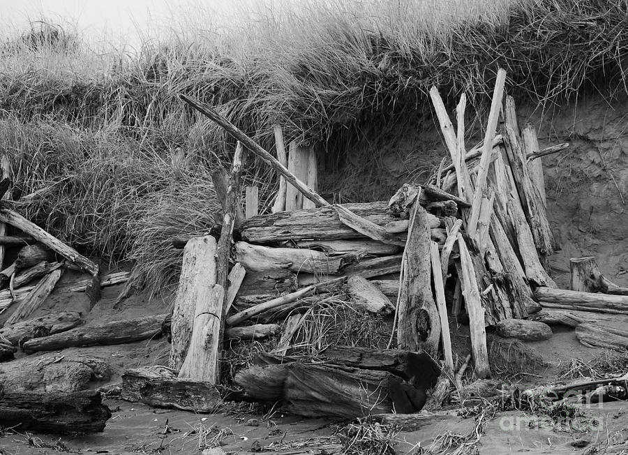 Westport Hut by Jeni Gray Westport Hut by Jeni Gray
