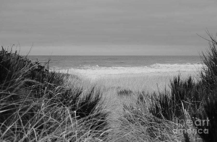Westport Red Filter by Jeni Gray Westport Red Filter by Jeni Gray