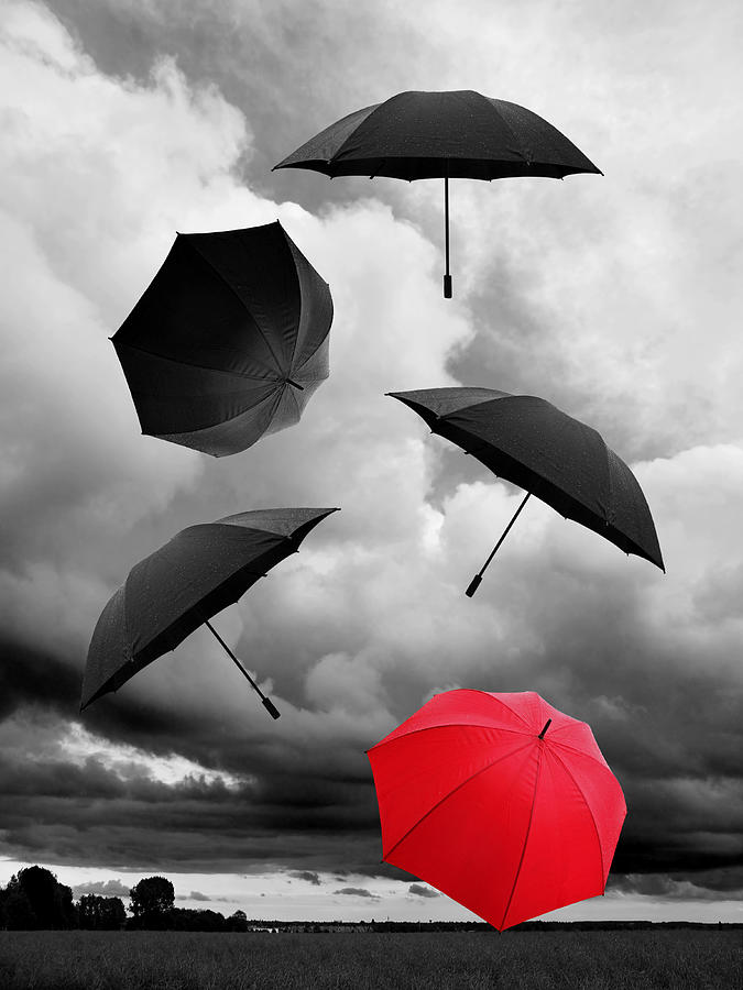 Wet And Windy - Red And Black Umbrellas Photograph by Gill Billington
