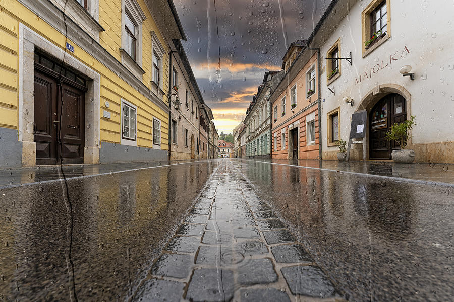Wet May Photograph by Jurij Bizjak