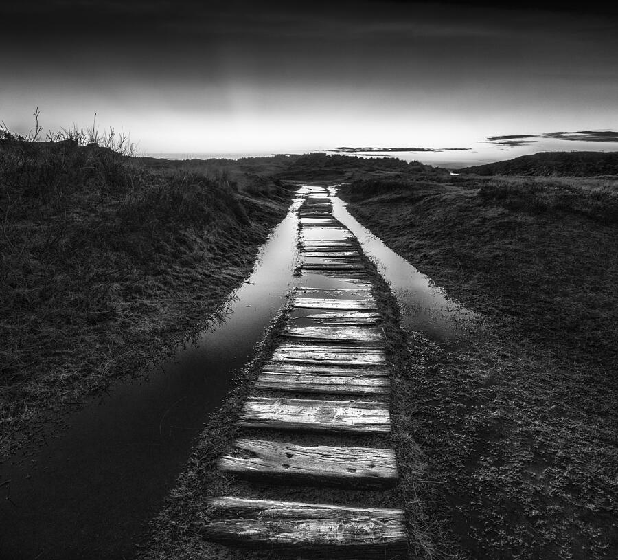 Wet Path Photograph by Viggo Johansen