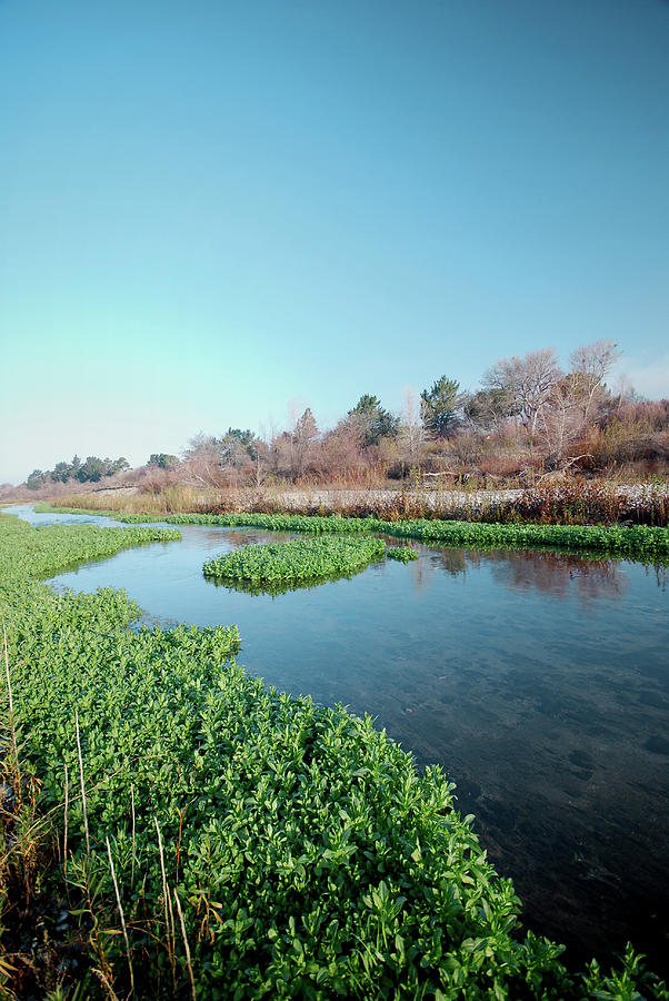 Wetland River Photograph by Sstop