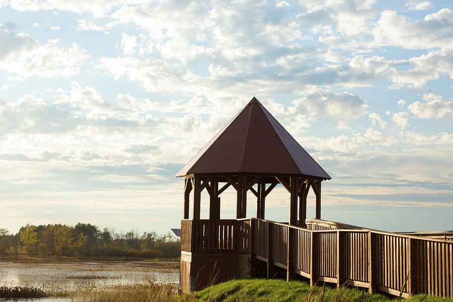 Wetlands And The Gazebo Photograph