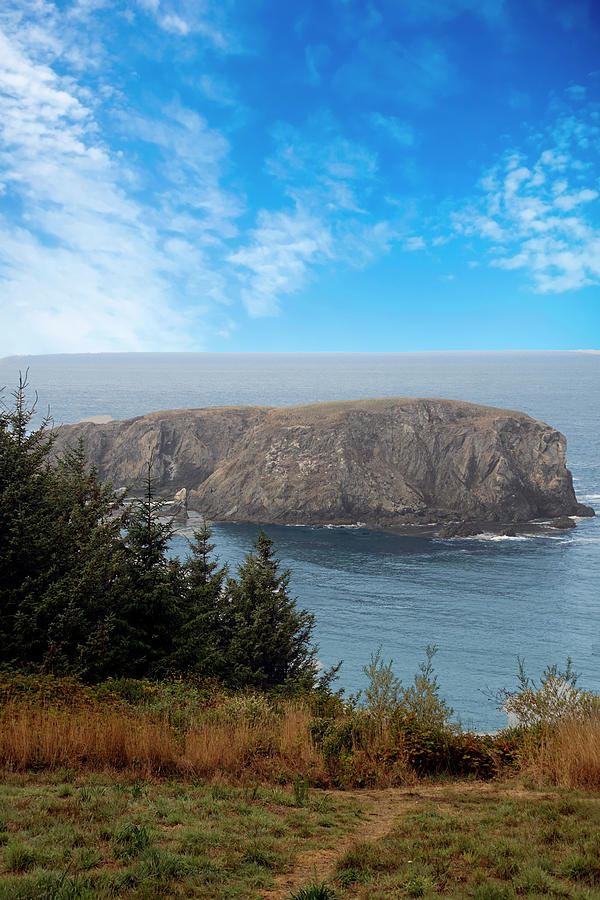 Whale Head Rock on Pacific coast Photograph by Steve Estvanik