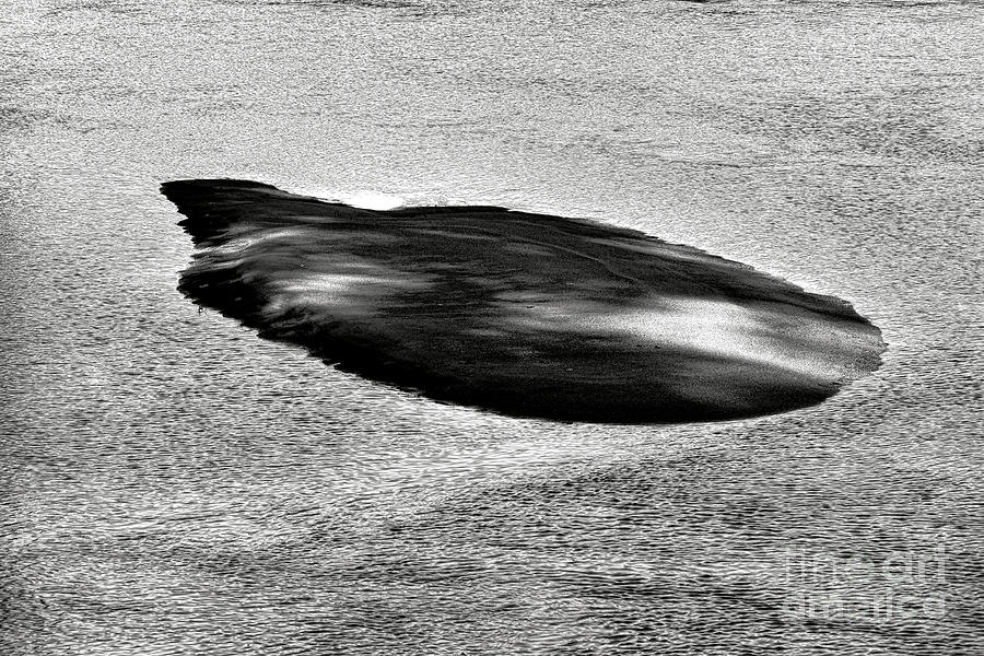 Whale Rock Photograph by Olivier Le Queinec