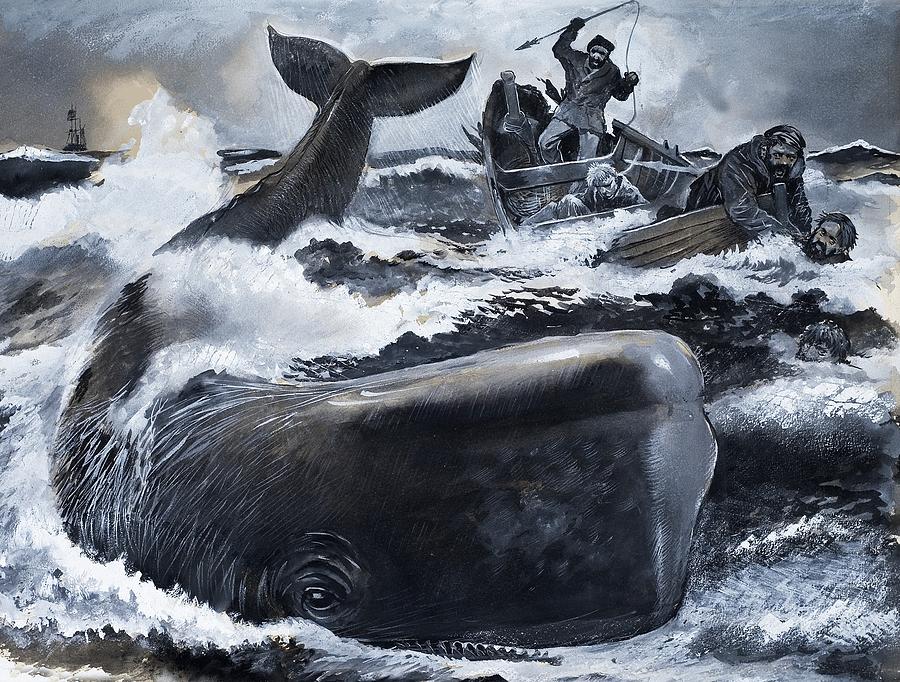 Whaling Scene Painting by English School