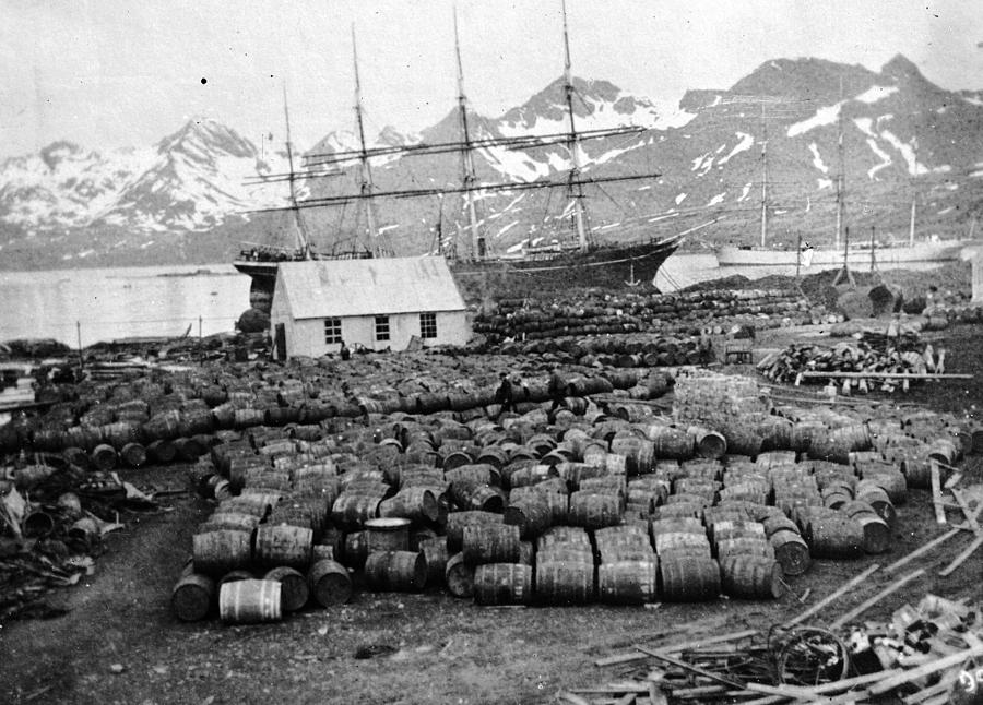 Whaling Station Photograph by General Photographic Agency