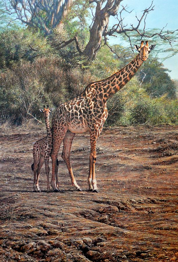 What are the looking at? Giraffes Painting by Alan M Hunt