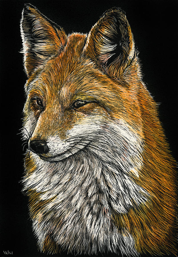 What Does the Fox Say? by William Underwood What Does the Fox Say? by William Underwood