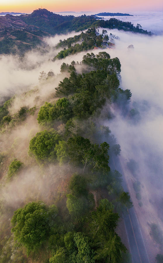 What Its Like Up There Photograph by Vincent James What Its Like Up There Photograph by Vincent James