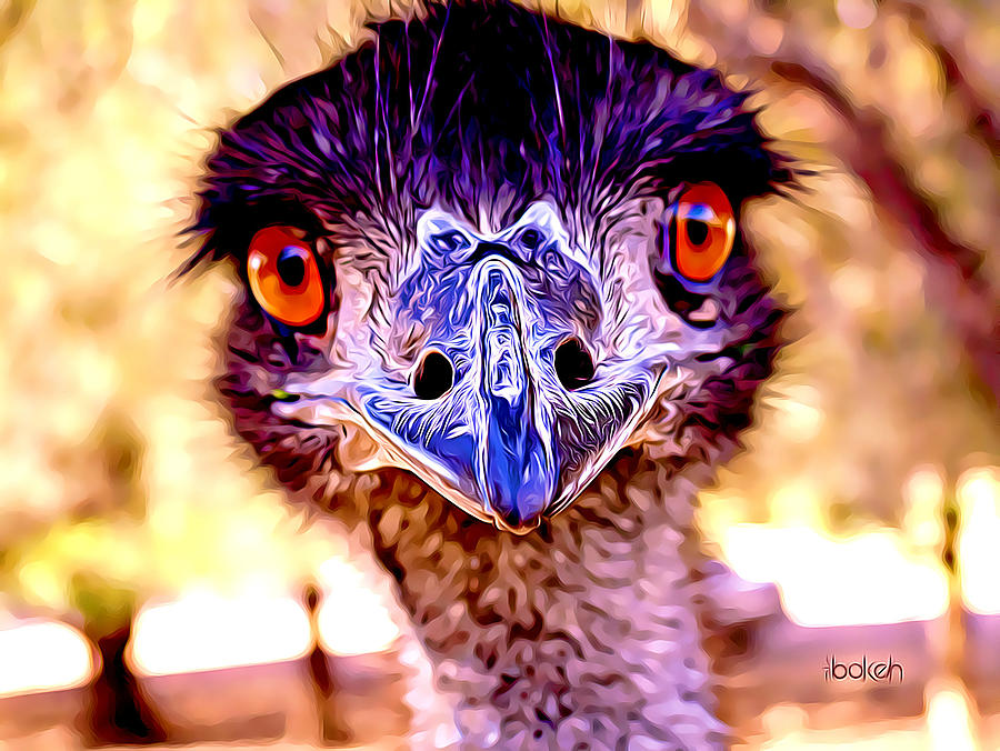 What - Old Man Emu Photograph by David Hancock
