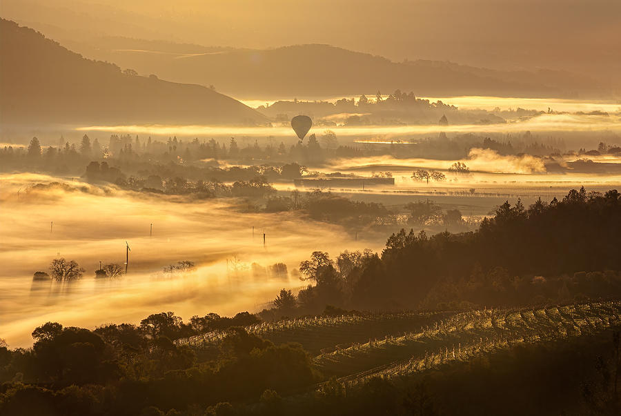 Napa Photograph - What You Will See From A Hot Air Balloon by Dianne Mao