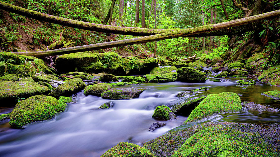 Bow and Shallow Photograph by David Jolly - Fine Art America