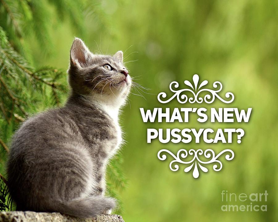 Whats New Pussycat Digital Art