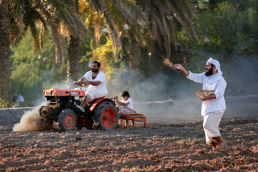 Wheat Cultivation Photograph by Sami_alhinai