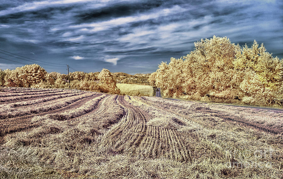 Wheat Field Near Otocec Photograph