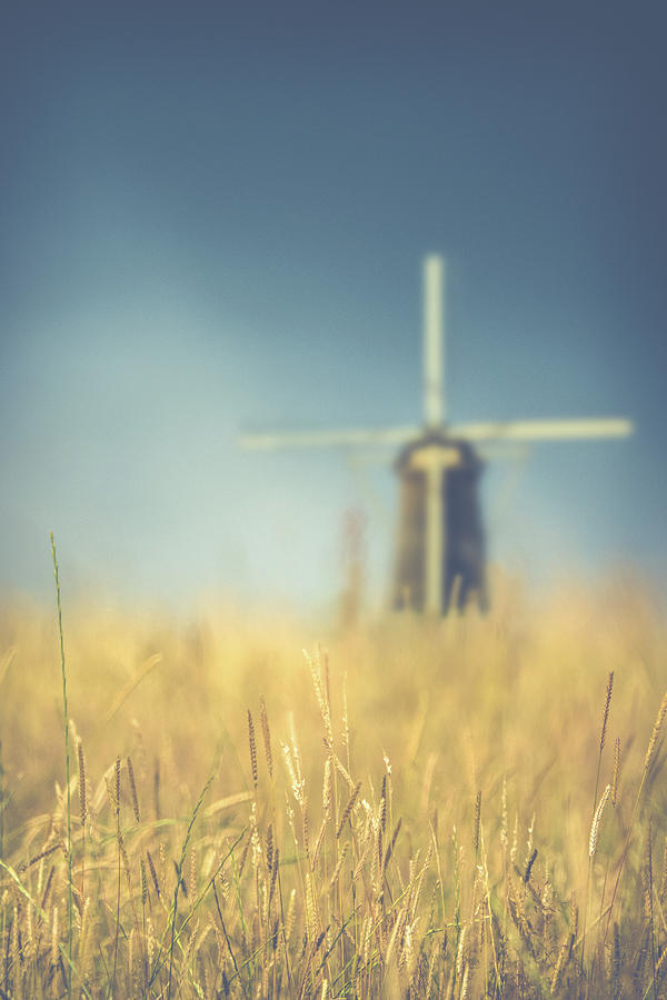 Wheat Field Windmill Photograph