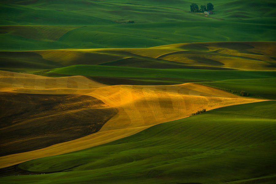 Wheat Fields At Sunrise, Palouse Photograph by Kunal Mehra - Fine Art ...