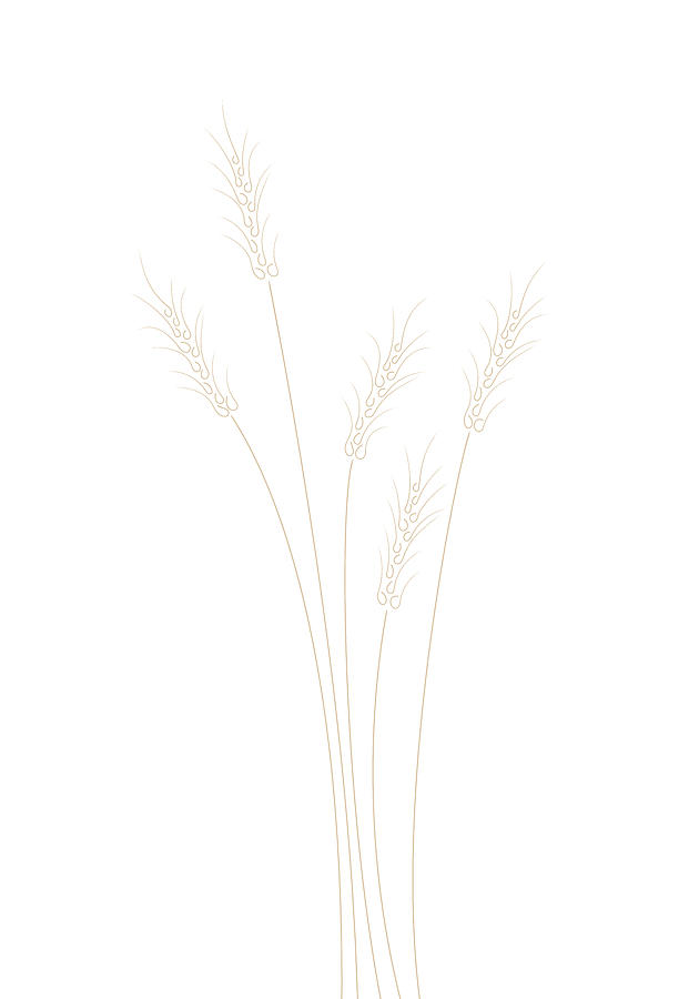 Wheat Grass Photograph by 1x Studio Ii