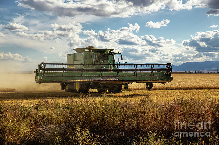 Wheat Harvest 4 Photograph by Lynn Sprowl