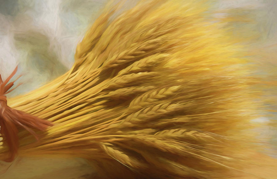 Wheat by Pamela Walton Wheat by Pamela Walton
