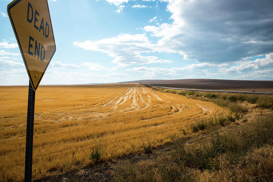 Wheat Stubble and Dead End Sign Photograph by Tom Cochran