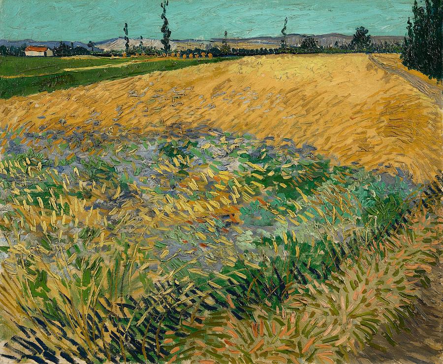 Wheatfield. Painting by Vincent van Gogh -1853-1890-