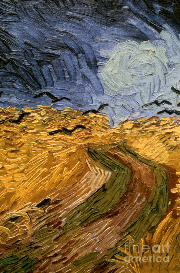 Wheatfield With Crows, Detail 1890 Drawing by Print Collector