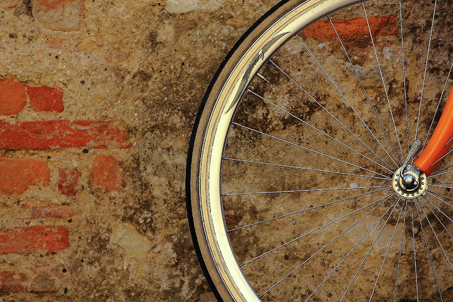 Wheel Of Cycle Photograph by Www.zdjeciarz.com