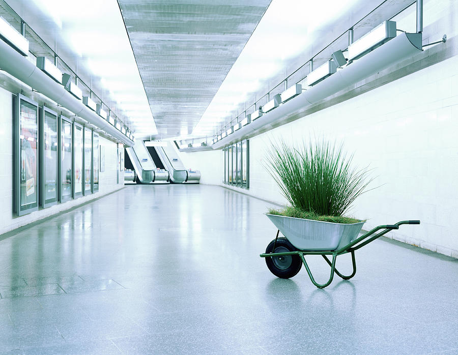 Wheelbarrow Full Of Grass In Corridor Photograph by Kelvin Murray Wheelbarrow Full Of Grass In Corridor Photograph by Kelvin Murray